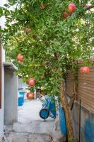 Plán poschodí v ubytovaní Apartment Rogoznica 7558a