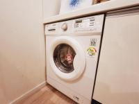 Olive hostel R(Residence)の見取り図または間取り図