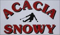 a sign with a hockey player and the words cedar snow at Acacia Snowy Motel in Jindabyne