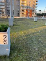 Vonkajšia záhrada v ubytovaní Apartament Marina