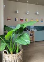 eine Pflanze in einem Korb in einem Raum in der Unterkunft Marida Hotel in Satu Mare