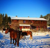 Zvieratá v ubytovaní bed & breakfast alebo blízkom okolí