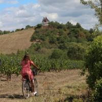 Hostia v ubytovaní Un gîte au cœur du vignoble