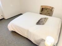 Łóżko lub łóżka w pokoju w obiekcie Bel appartement contemporain