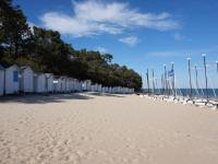a beach with a row of beach huts and flags at Maison Noirmoutier-en-l&#39;Île, 4 pièces, 6 personnes - FR-1-224B-646 in Noirmoutier-en-l&#39;lle