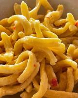 a pile of pasta sitting on a plate at Fattoria Raffaelli in Colle Farnese