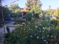Vonkajšia záhrada v ubytovaní Holiday home Sandra