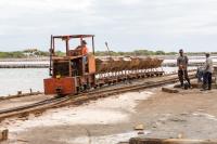 Hosté ubytování Sava Salinas