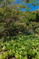 Zahrada ubytování Dionyssos Rooms Preveli Crete