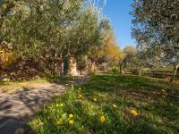 Vonkajšia záhrada v ubytovaní Holiday Home Piccola Oasi 5 by Interhome