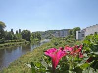 a pink flower is growing next to a river at Gîte Épinal, 4 pièces, 6 personnes - FR-1-589-82 in Épinal