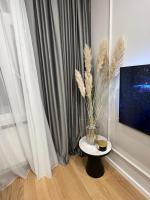 Televízia a/alebo spoločenská miestnosť v ubytovaní SDesign Luxury Zagreb apartment