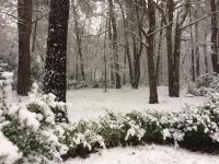 a forest covered in snow with flowers and trees at Tranquil bungalow in Lille with garden in Lille