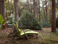 a green chair sitting in the middle of a forest at Tranquil bungalow in Lille with garden in Lille