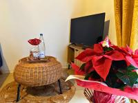 Televízia a/alebo spoločenská miestnosť v ubytovaní Le petit Châtaignier - Cozy Immo