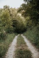 a dirt road in the middle of a field at Domaine St-Amand in Saint-Amand-de-Coly