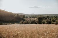 a field of tall brown grass in a field at Domaine St-Amand in Saint-Amand-de-Coly