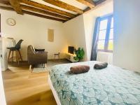 Plán poschodí v ubytovaní Aux pieds du Vieux-Mans : Joli Studio Cosy