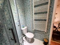 a bathroom with a toilet and a glass shower at Logement très cosy en plein centre-ville in Saint-Cyr-lʼÉcole