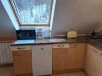 Kuchyňa alebo kuchynka v ubytovaní Apartment Erika
