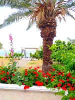 A garden outside Villa Stella Family House