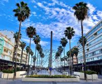 a city street with palm trees and buildings at Studio côté plage tout équipé vue sur le Canigou in Canet-en-Roussillon