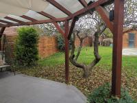 A garden outside Erika's House.