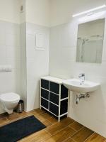 A bathroom at Apartmán Liptov NP9