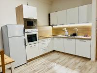 A kitchen or kitchenette at Apartmán Liptov NP9