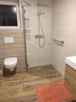 a bathroom with a shower and a toilet at Sonja´s Ferienwohnung in Patergassen