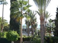 The floor plan of Playa Mijas