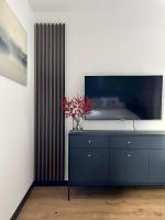 TV a/nebo společenská místnost v ubytování Apartamenty Maxa Czornyja