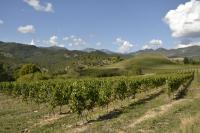 a vineyard in the hills with mountains in the background at Gîte &#39;An Kay Ou&#39; - Le Grand Barry in Pontaix