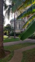 a large building with a palm tree in front of it at studio à 2 mn à pied de la plage in Nice