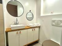 a bathroom with a sink and a mirror at Le Jardin Des Sacres - HyperCentre Cathédrale in Reims