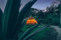 - Vistas a una casa con una palmera en Samana Ecolodge, en El Limón