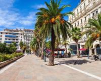 a palm tree in the middle of a street at Charming T2 Equipped 1min Walk To Beaches in Toulon