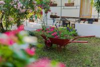Ogród w obiekcie Apartment in Malinska - Insel Krk 43310