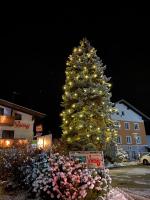 a christmas tree in front of a building with flowers at groassehof Haus Gstrein in Imsterberg