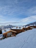 a row of wooden buildings in the snow at Bergdorf Hotel Zaglgut in Kaprun