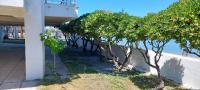 A garden outside Lovely 1-Bed Apartment in Perea