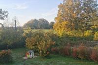 Ogród w obiekcie La villa du lac à Mesnil Saint Père