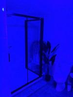 a room with a blue room with a plant in it at La marbrière, Parking gratuit, proche centre ville in Sens