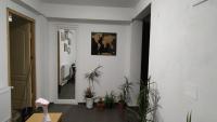 a hallway with potted plants and a mirror at Camera de la Bunici - o poarta catre oriunde 