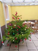 Plán poschodí v ubytovaní Ruyi holiday -Családi ház