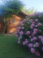 Vonkajšia záhrada v ubytovaní Casa di Campagna B&B La Corte Ferrara