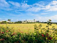 a field of grass with birds flying in the sky at Kenting Summerland Garden Resort in Eluan