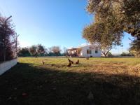 Vonkajšia záhrada v ubytovaní Casa de Campo Los Manueles Ideal Perros Pet Friendly