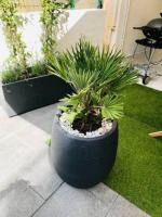 Vonkajšia záhrada v ubytovaní ''Croisette'' Appartement rez de jardin accès direct plage !