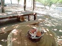 Mynd úr myndasafni af Hotel flamencamarones í Camarones